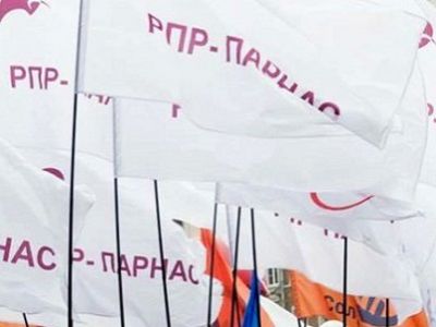 Флаги РПР-ПАРНАС. Фото: kavkazweb.biz