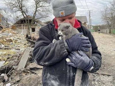 Человек, спасший из-под завалов кота, Киевская обл. Фото: www.facebook.com/profile.php?id=1599267404