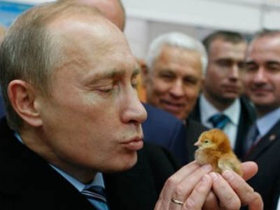 Путин и цыпленок. Фото: papasha-mueller.livejournal.com