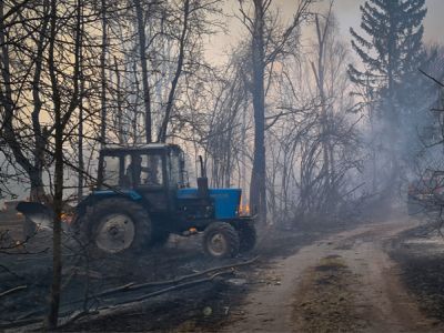 Фото: АР/ТАСС