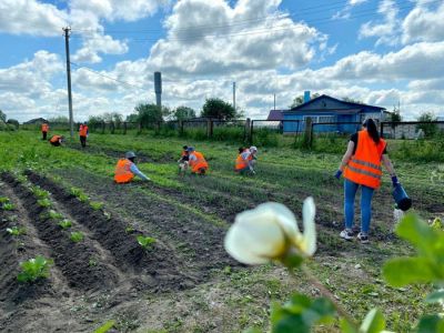 Фото: kostroma.today